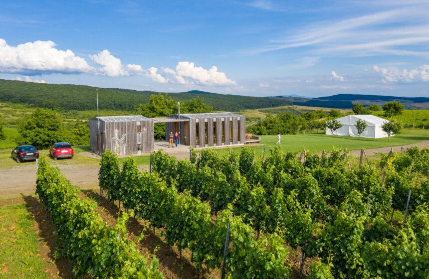 Experiențe de călătorie: Liliac Lodge Batoș