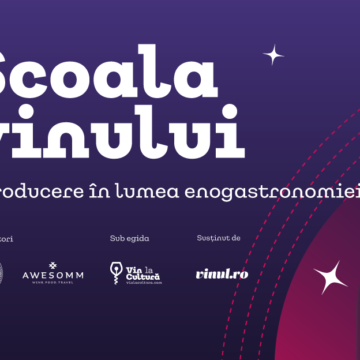 Școala Vinului – cursuri despre vin și gastronomie