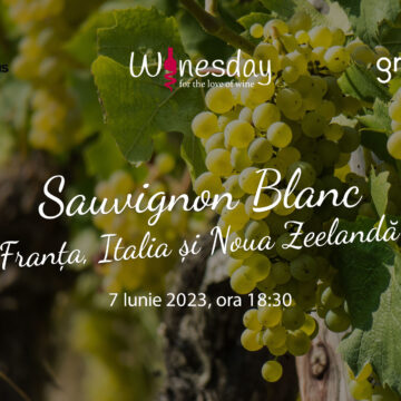 Degustare de Sauvignon Blanc din Franța, Italia și Noua Zeelandă