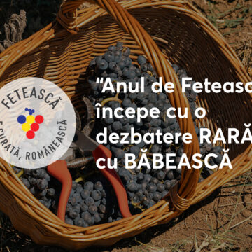 Anul de Feteasca discutie Rara cu Babeasca “Anul de Fetească” începe cu o dezbatere RARĂ cu BĂBEASCĂ