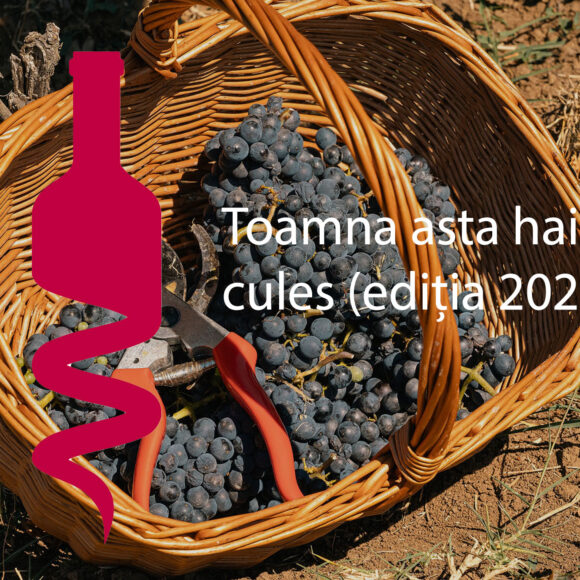 Toamna asta hai la cules + petreceri și degustări în vie (ediția 2025)