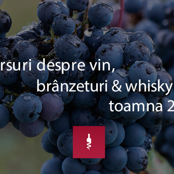 Săptămâna Back to School: cursuri despre vin, brânzeturi, whisky