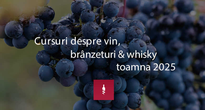 Săptămâna Back to School: cursuri despre vin, brânzeturi, whisky